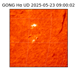 gong - 2025-05-23T09:00:02