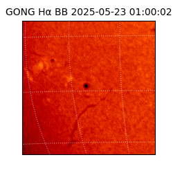 gong - 2025-05-23T01:00:02