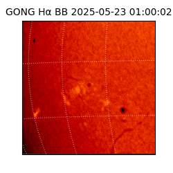 gong - 2025-05-23T01:00:02