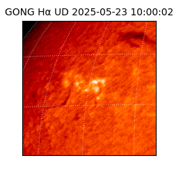 gong - 2025-05-23T10:00:02