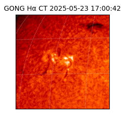 gong - 2025-05-23T17:00:42