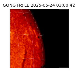 gong - 2025-05-24T03:00:42