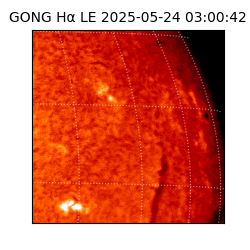 gong - 2025-05-24T03:00:42