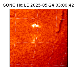 gong - 2025-05-24T03:00:42