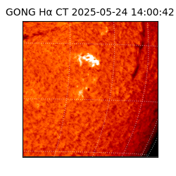 gong - 2025-05-24T14:00:42