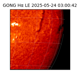 gong - 2025-05-24T03:00:42
