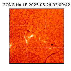 gong - 2025-05-24T03:00:42