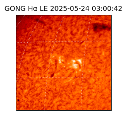 gong - 2025-05-24T03:00:42