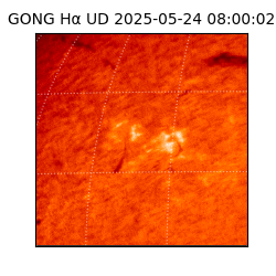 gong - 2025-05-24T08:00:02