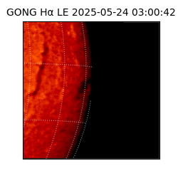 gong - 2025-05-24T03:00:42