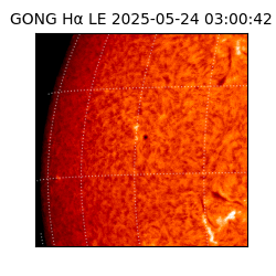 gong - 2025-05-24T03:00:42
