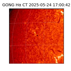 gong - 2025-05-24T17:00:42