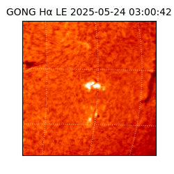 gong - 2025-05-24T03:00:42