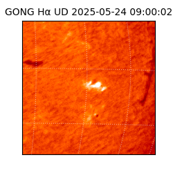 gong - 2025-05-24T09:00:02