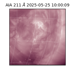 saia - 2025-05-25T10:00:09.626000