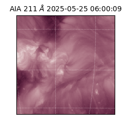 saia - 2025-05-25T06:00:09.629000