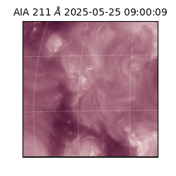 saia - 2025-05-25T09:00:09.626000