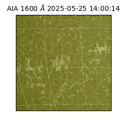 saia - 2025-05-25T14:00:14.125000