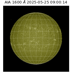 saia - 2025-05-25T09:00:14.125000