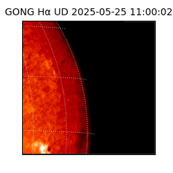 gong - 2025-05-25T11:00:02