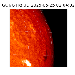 gong - 2025-05-25T02:04:02