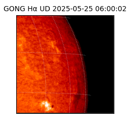 gong - 2025-05-25T06:00:02