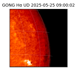 gong - 2025-05-25T09:00:02