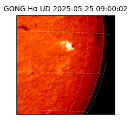 gong - 2025-05-25T09:00:02