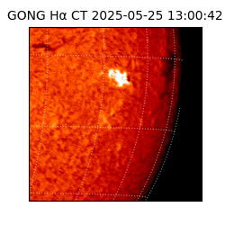 gong - 2025-05-25T13:00:42
