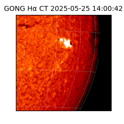 gong - 2025-05-25T14:00:42