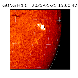 gong - 2025-05-25T15:00:42