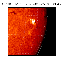 gong - 2025-05-25T20:00:42