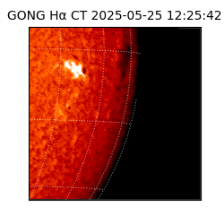 gong - 2025-05-25T12:25:42