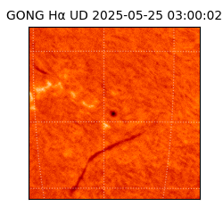 gong - 2025-05-25T03:00:02