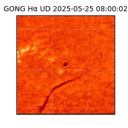 gong - 2025-05-25T08:00:02