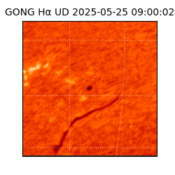 gong - 2025-05-25T09:00:02