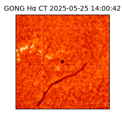 gong - 2025-05-25T14:00:42