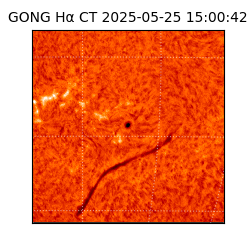 gong - 2025-05-25T15:00:42