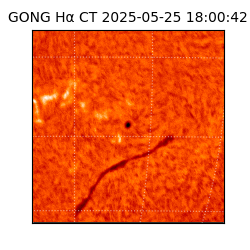 gong - 2025-05-25T18:00:42