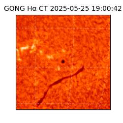 gong - 2025-05-25T19:00:42