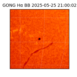 gong - 2025-05-25T21:00:02