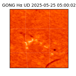 gong - 2025-05-25T05:00:02