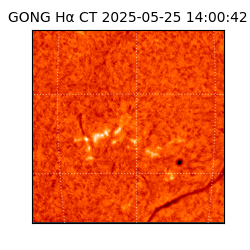 gong - 2025-05-25T14:00:42