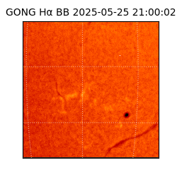 gong - 2025-05-25T21:00:02