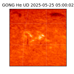 gong - 2025-05-25T05:00:02