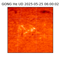 gong - 2025-05-25T06:00:02