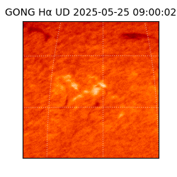 gong - 2025-05-25T09:00:02