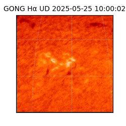 gong - 2025-05-25T10:00:02