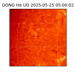 gong - 2025-05-25T05:00:02