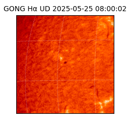 gong - 2025-05-25T08:00:02